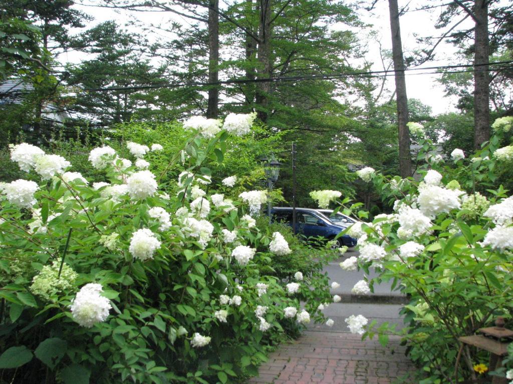 Hotel De Karuizawa Wald Екстериор снимка